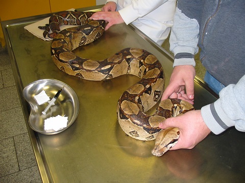 Python1